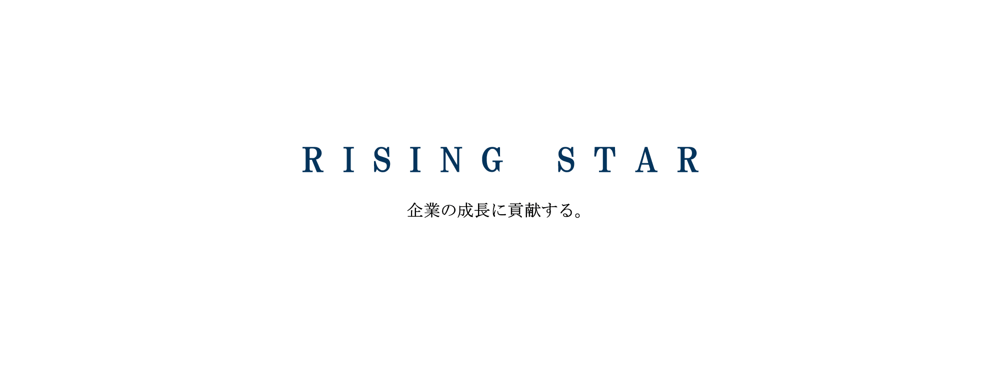 RISING STAR 中小企業向けコンサルティング